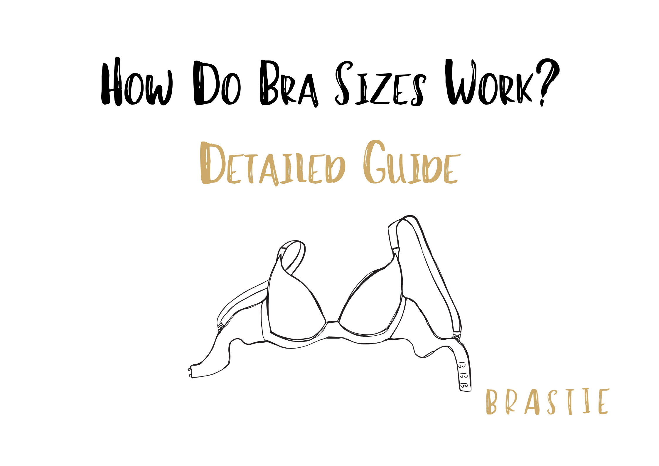 How Do Bra Sizes Work? Guide with All You Need - Brastie