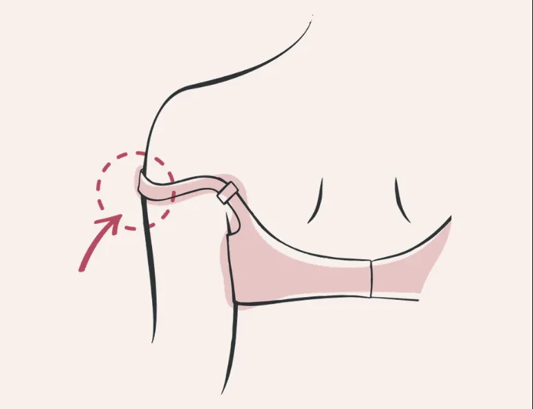 bra guide