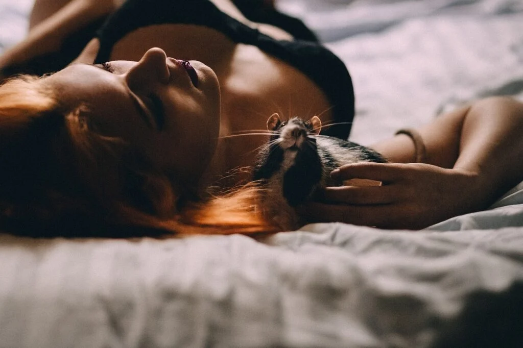 Sleepy Model 1 4X68
