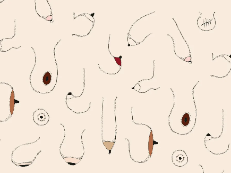 Breasts sizes