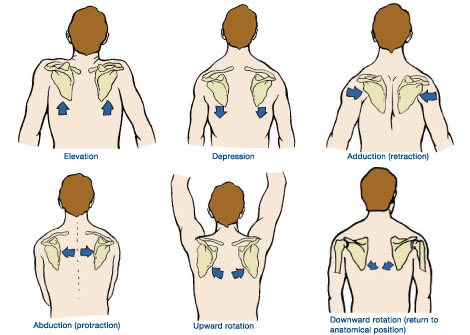 shoulder exercise