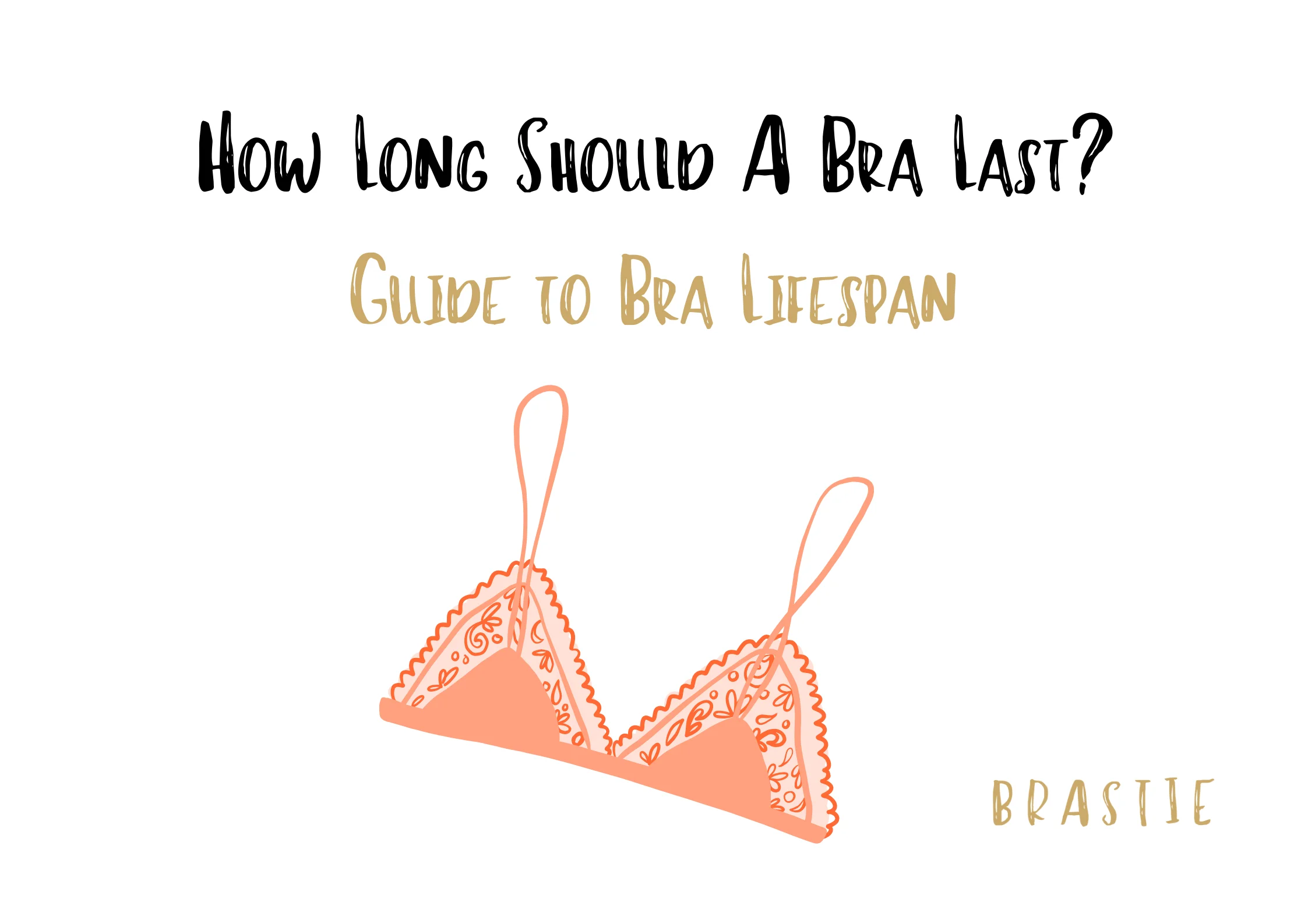 How Long Should a Bra Last