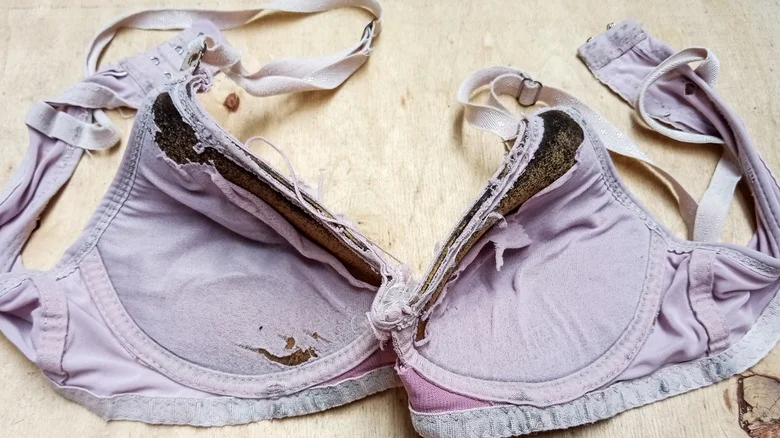 Replace Your Bras As Needed 1671 3 86